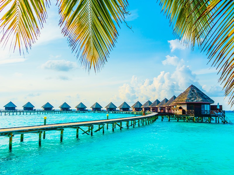 تور کیـــــش